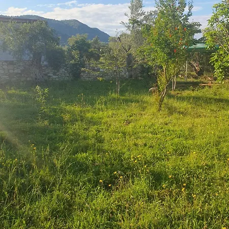 Theodora Villa Polisi i Vogel